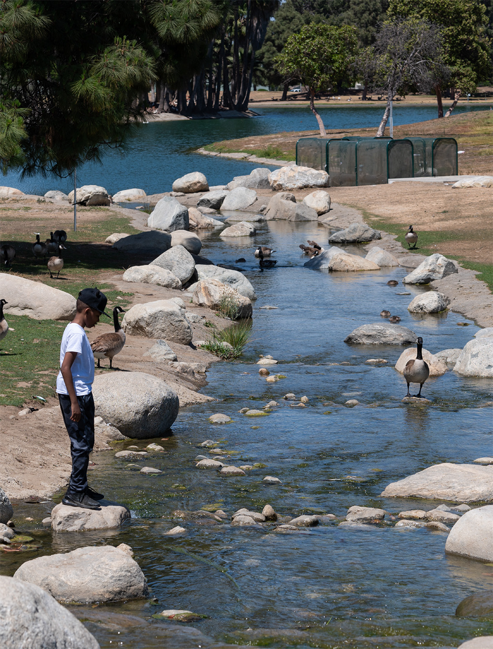 Magic Johnson Park Stormwater Capture Project