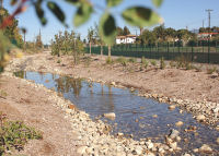 Tujunga Wash After