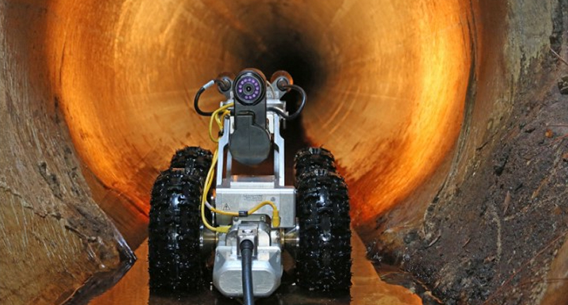 Conditional assessment program image