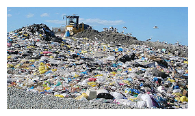 Socal Conversion Socal Conversion