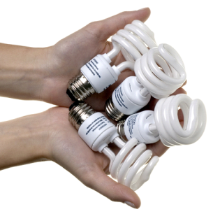 Flourescent Bulbs