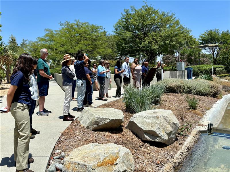 Field trip to the Ballona Wetlands