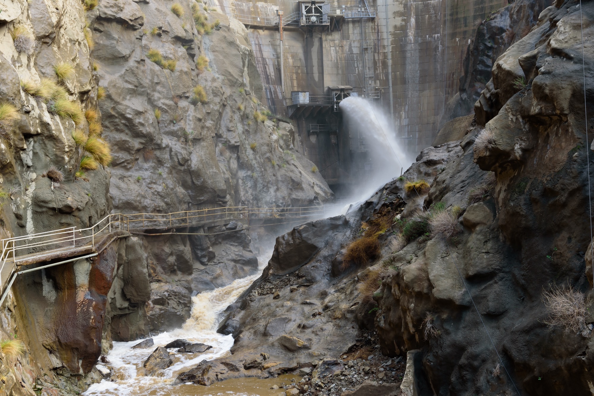 Pacoima Reservoir Restoration Project