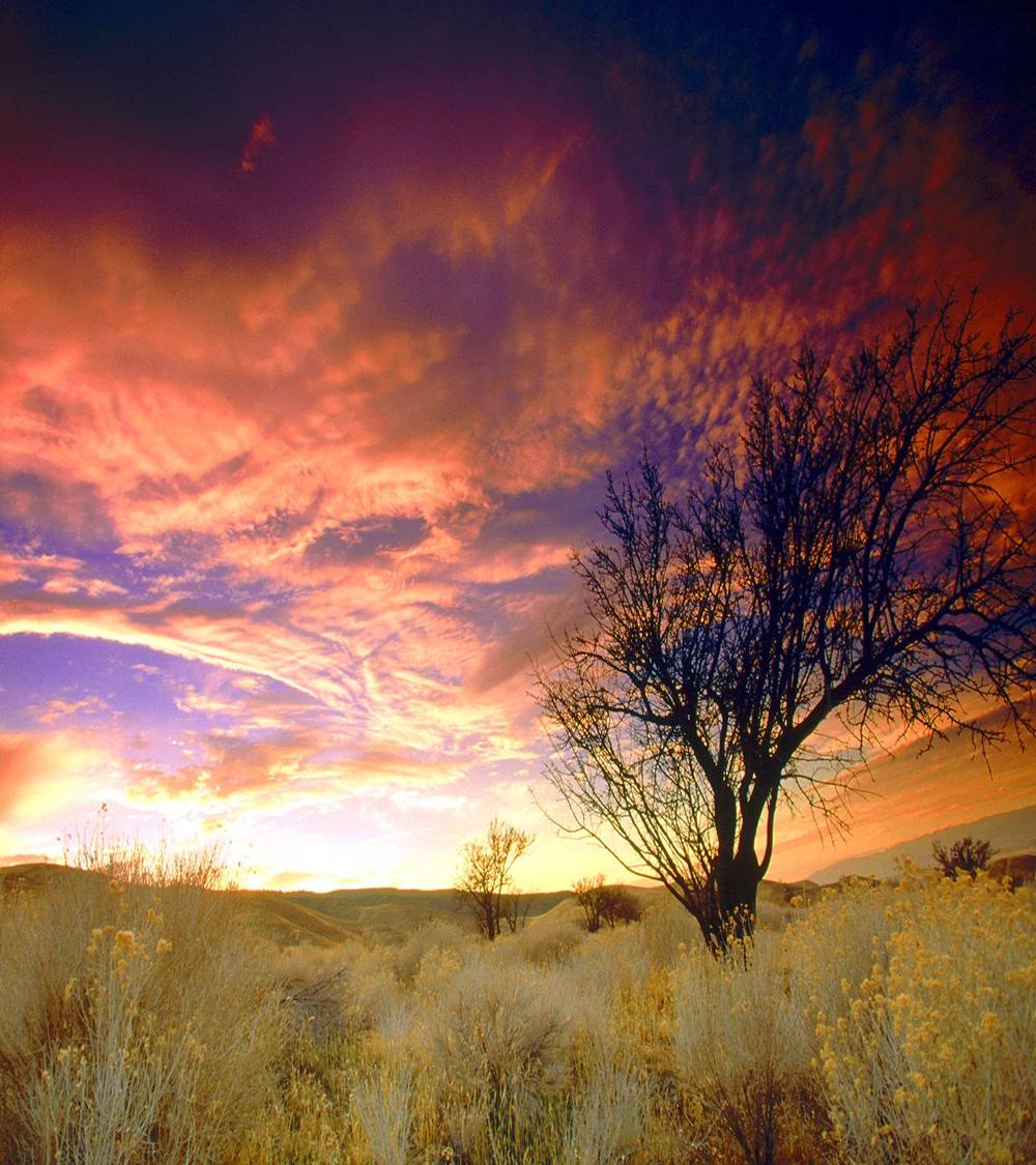 scenic view of Antelope Valley