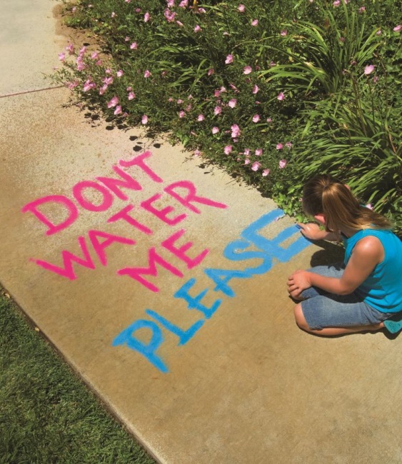 Water Conservation