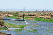 Groundwater Recharge