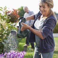 Water plants early in the AM or at night, save 25 gallons each time you water